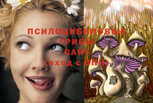 PSILOCYBIN Абаза